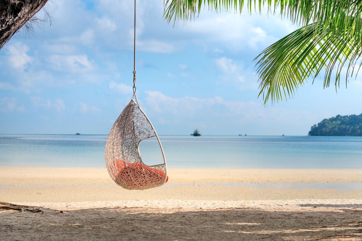 Palm trees and sun loungers arranged on soft white sand