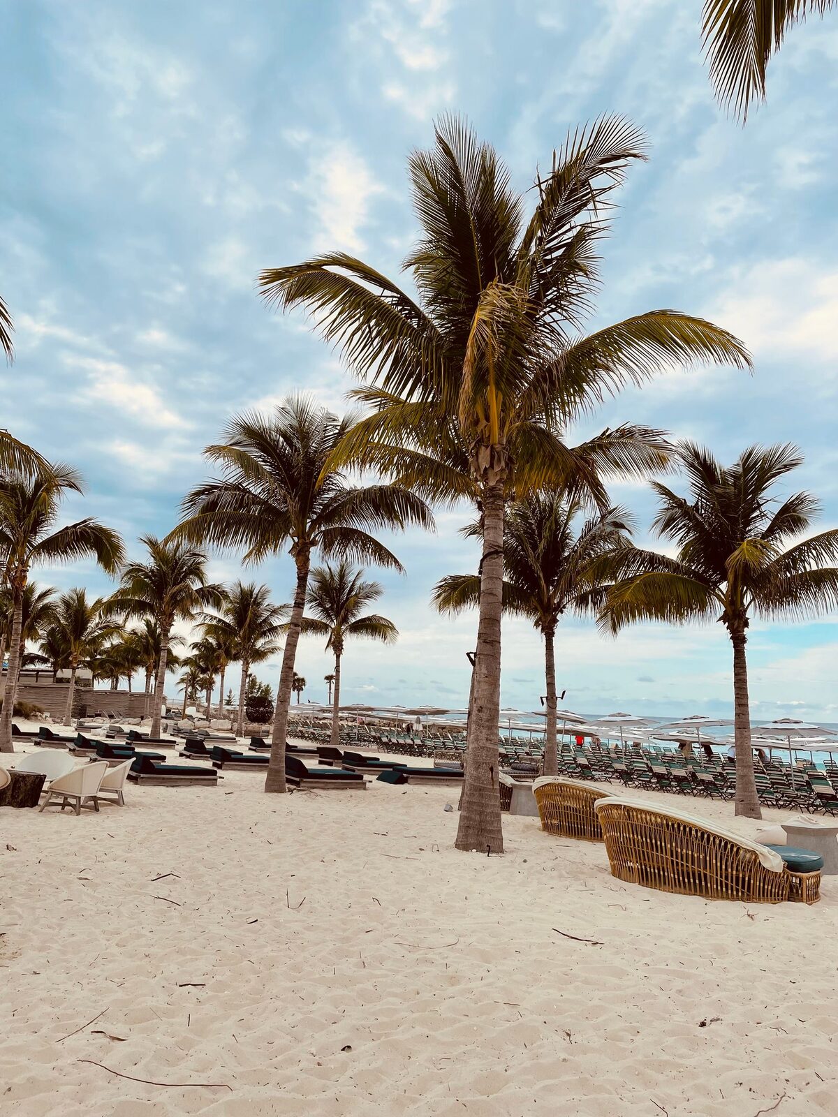 Aerial view of the beach resort, palms and shoreline from above