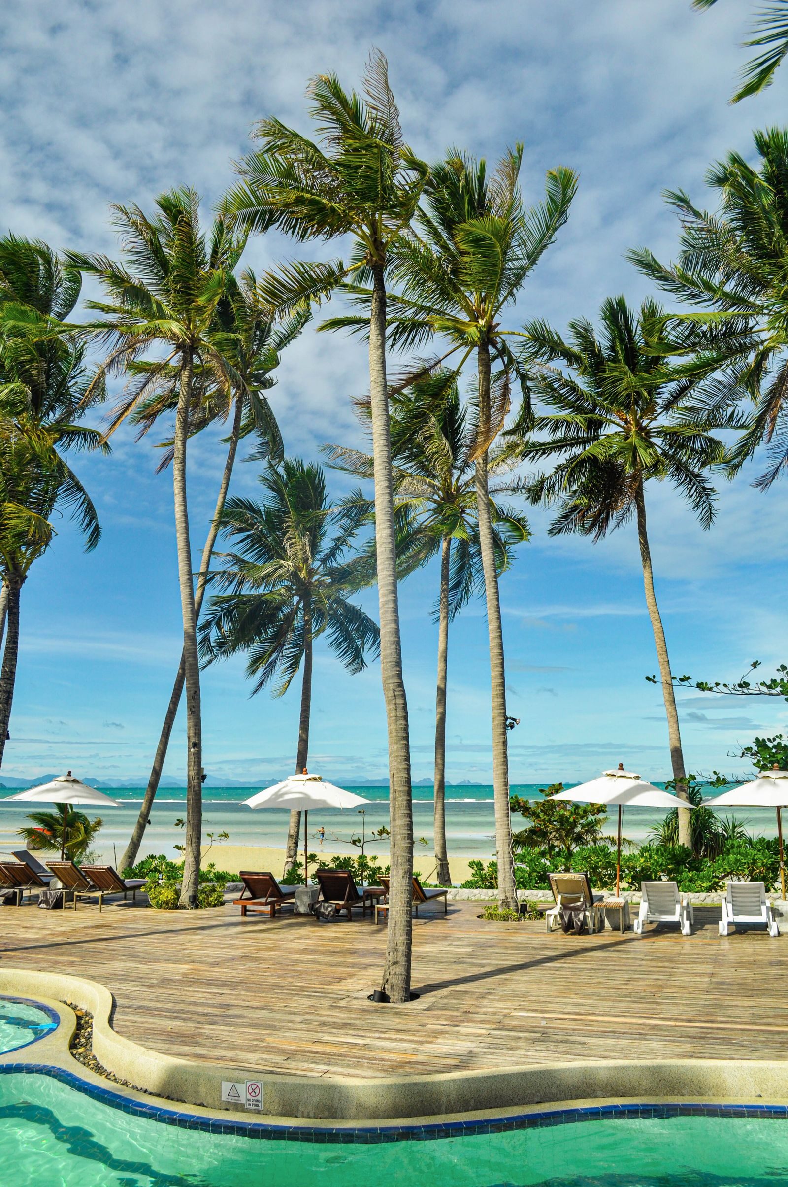 Palm-fringed beach resort on Koh Samui with a pool beside the sea at Haad Yao
